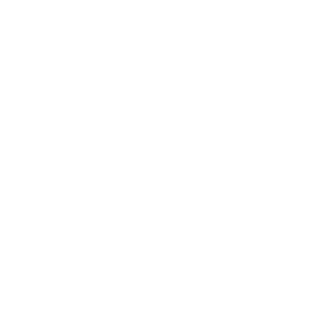 Immagine o logo del Storico Atti